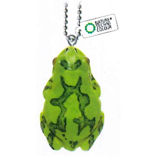 Frog Ball Chain Nature Techni colour MONO PLUS Tree Frog Magnet & Ball Chain [10.Dark ...