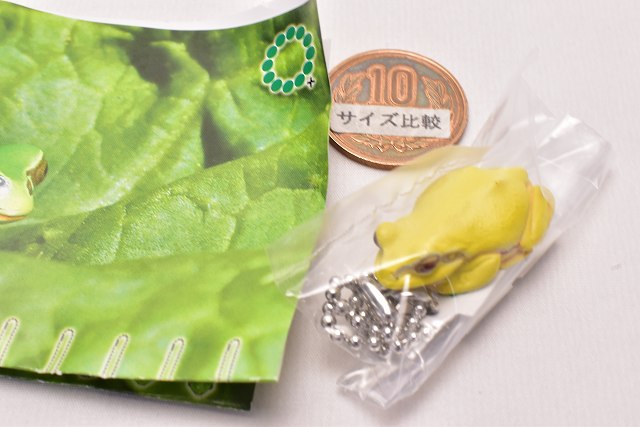 Nature Techni colour MONO PLUS Tree Frog Magnet & Ball Chain [16.Albin ...