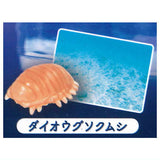 miniature aquarium DEEP [2.Giant Isopod]