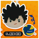 Haikyu!! reversible stuffed toy [5.Tetsuro Kuroo]