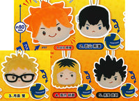 Haikyu!! reversible stuffed toy [All 5 type set (Full Complete)]