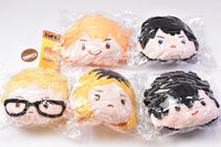 Haikyu!! reversible stuffed toy [All 5 type set (Full Complete)]