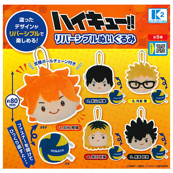 Haikyu!! reversible stuffed toy [All 5 type set (Full Complete)]