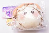 Ururun Hotate-chan stuffed toy [1.Uruuru]