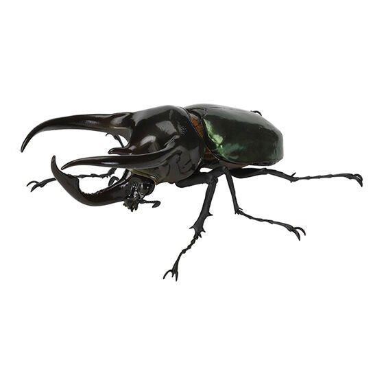 Beetle Gashapon 06 [1.Atlas beetle]