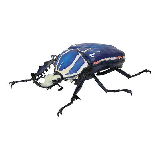 Beetle Gashapon 06 [4.Rare: Ugandensis Otsunokanabun (Blue)]