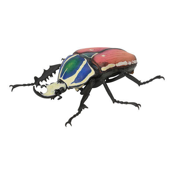 Beetle Gashapon 06 [5.Rare: Ugandensis Otsunokanabun (Orange)]