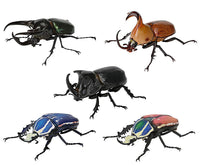 Beetle Gashapon 06 [All 5 type set(Full Complete)]