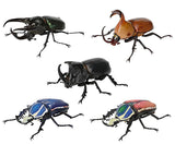 Beetle Gashapon 06 [All 5 type set(Full Complete)]