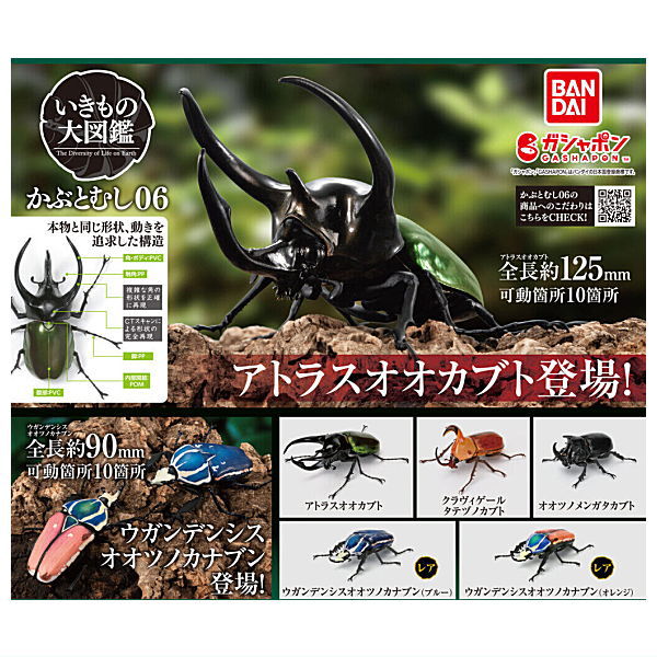 Beetle Gashapon 06 [All 5 type set(Full Complete)]