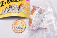 Makerumonka [2.Hamster]