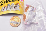 Makerumonka [2.Hamster]