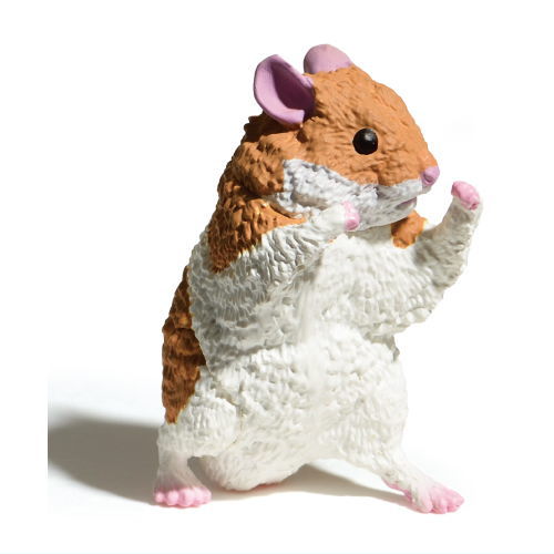 Makerumonka [2.Hamster]