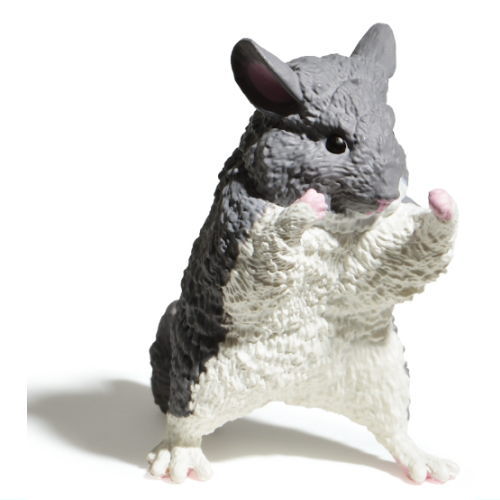 Makerumonka [3.Chinchilla]