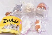 Makerumonka [All 5 type set(Full Complete)]