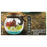 With magic stones! Sea terrarium [5.Earth magic stone]