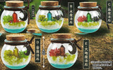 With magic stones! Sea terrarium [All 5 type set(Full Complete)]