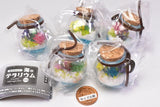 With magic stones! Sea terrarium [All 5 type set(Full Complete)]