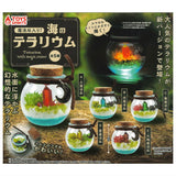 With magic stones! Sea terrarium [All 5 type set(Full Complete)]