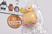KYOMU. Part.4 [4.Syrian hamster]