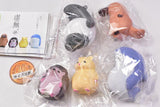 KYOMU. Part.4 [All 5 type set(Full Complete)]