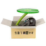 TAMA-KYU Sutegeko [3.Tadpole]