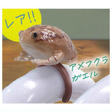 Frog ring marker accessories [1.Rare : Common rain frog]