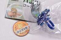 Frog ring marker accessories [3.Poison dart frog]