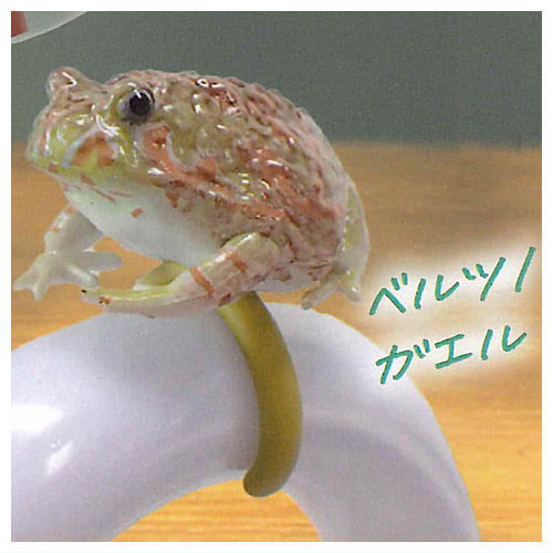 Frog ring marker accessories [4.Argentine horned frog]