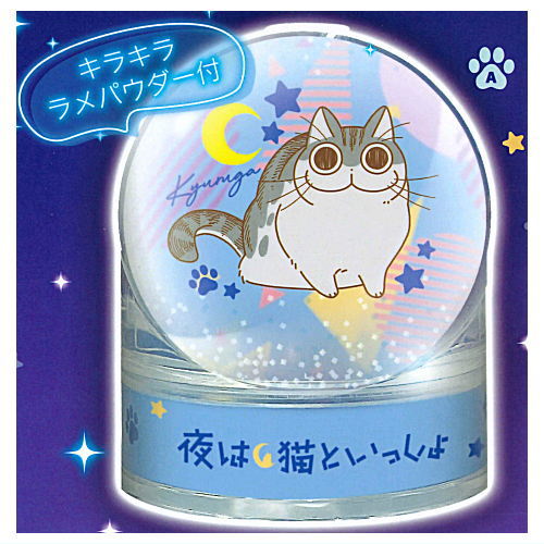 Yoru wa Neko to Issho Kyuruga's water dome [1.A]