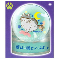 Yoru wa Neko to Issho Kyuruga's water dome [4.D]