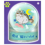Yoru wa Neko to Issho Kyuruga's water dome [4.D]