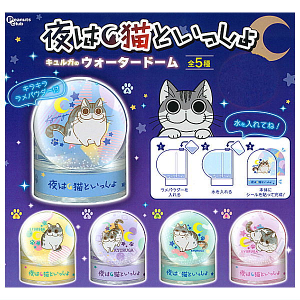 Yoru wa Neko to Issho Kyuruga's water dome [All 5 type set(Full Complete)]