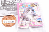 Mapple Mamehon Guidebook vol.2 [5.Secret : Nyapple]