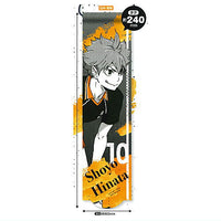 Haikyu!! Portrait Garland Collection [1.Shoyo Hinata]