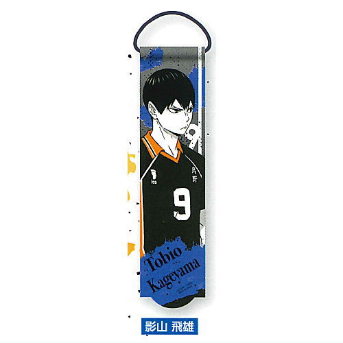 Haikyu!! Portrait Garland Collection [2.Tobio Kageyama]