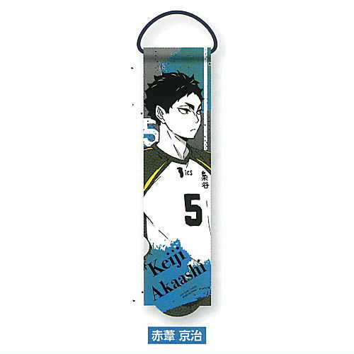 Haikyu!! Portrait Garland Collection [8.Keiji Akaashi]