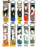 Haikyu!! Portrait Garland Collection [All 10 type set(Full Complete)]