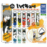 Haikyu!! Portrait Garland Collection [All 10 type set(Full Complete)]