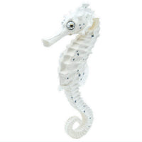 Nature Techni colour MONO PLUS Great seahorse figure magnet [5.White]