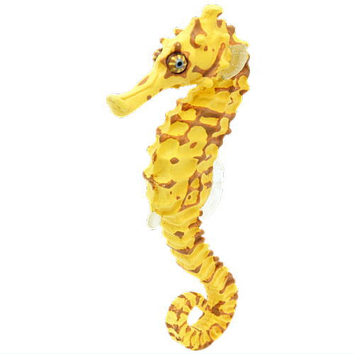 Nature Techni colour MONO PLUS Great seahorse figure magnet [6.Yellow spots]