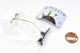 Kusahaetetekusa hair clip Part.3 [4.Futaba]