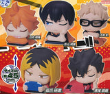 Onemutan Haikyu!! [All 5 type set(Full Complete)]