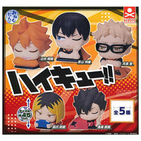 Onemutan Haikyu!! [All 5 type set(Full Complete)]