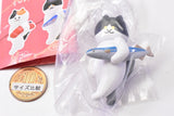 Art Univ. Techni Colour SUIMIN hakobu neko Figure Collection [3.Sanma]