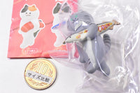 Art Univ. Techni Colour SUIMIN hakobu neko Figure Collection [4.Yaki sanma]