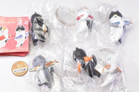 Art Univ. Techni Colour SUIMIN hakobu neko Figure Collection [All 6 type set(Full Complete)]