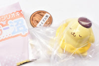 Sanrio Characters Color Swamp Collection [2.Pompompurin]