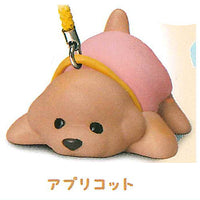 Animal Attraction Toy Poodle Sanpo [4.Sanpokarakaeritakunai Toy Poodle (Apricot)]