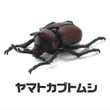 Modeling Beetles [1.Yamato Beetle]